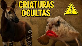 🐙 Los Animales Más Raros del Mundo que NO Creerás que Existen 🌍