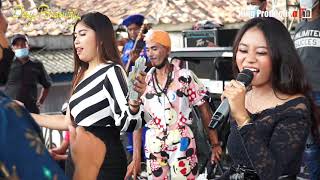 Download Lagu Pengen Di Sayang - Shesin - Desy Paraswati Live Di Desa Tanjugsari Cikaum Subang MP3