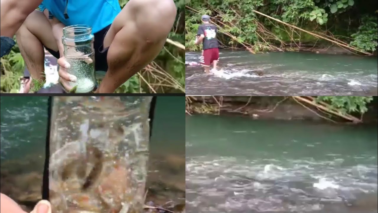 Creative Boys Ideas Make Fish Trap Using Bottles