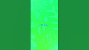 All bits (Acapella) #bits