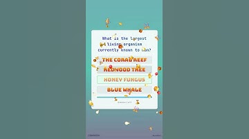 The ULTIMATE General Knowledge Quiz! Test Your Brain! | PART 132 | Digital Bullet