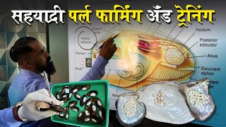 मोती व्यवसायातून कमवा लाखात पैसे | Original Pearl | Pearl Farming And Training