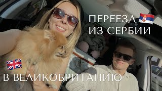 видео: Переезжаем из Сербии в Великобританию с собакой на машине 🐶 картинка: Переезжаем из Сербии в Великобританию с собакой на машине 🐶