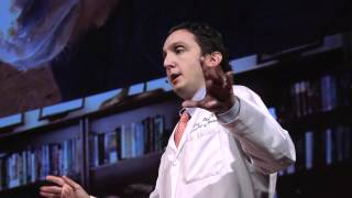 How to control the brain: Michael Okun and Kelly Foote at TEDxUF