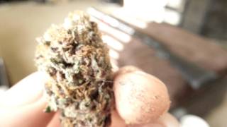 PURPLE DIESEL FINISHED PRODUCT HD