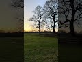 Sunset tonight. all you can hear is the birdsong. https://www.heathfieldestatenewforest.co.uk/ #bird
