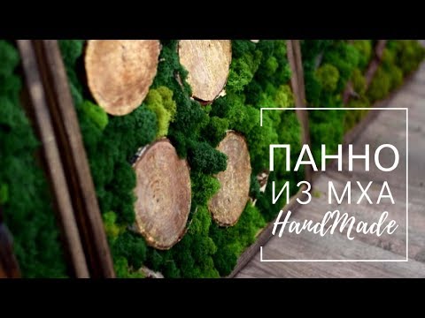 Картина из мха | Эко декор