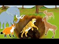 चालाक हिरण लोमड़ी हाथी और बाघ का हमला Deer Fox Elephant nd Tiger Attack Story Moral Stories in Hindi