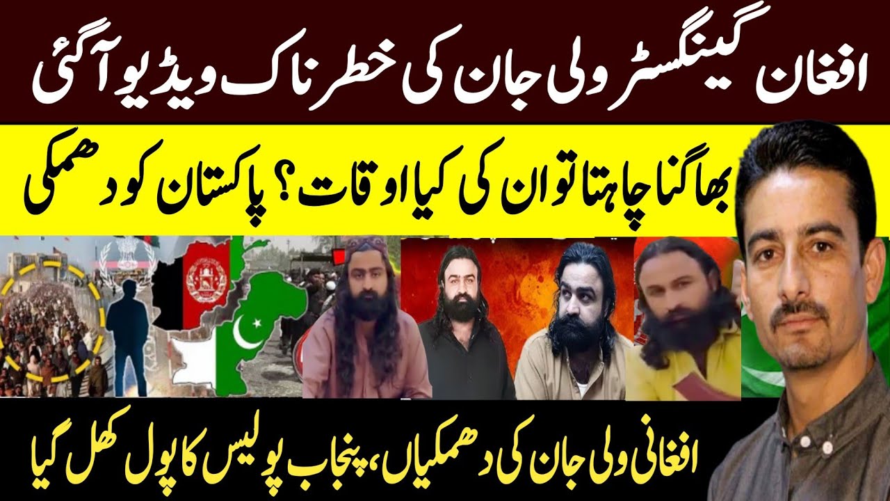 Breaking News : Afghan Gangster immigrant Wali Jan Challenge To ...