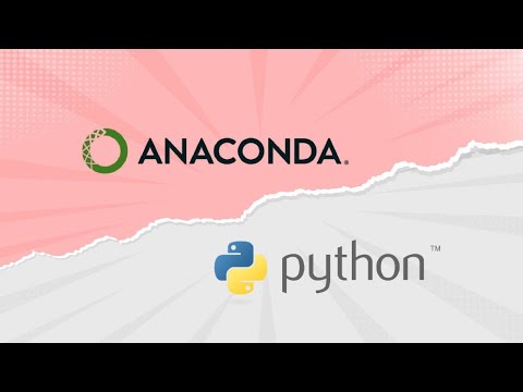 Day 17 Python While loop class - YouTube