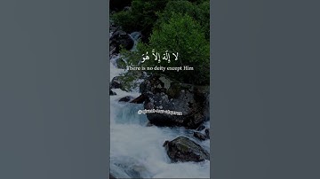 محمد صديق المنشاوي💕غافر الذنب وقابل التوب شديد العقاب ذي الطول🤲سورة غافر- Surah Ghaafir