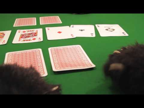 Can a Thumbcat - Play a game of poker?