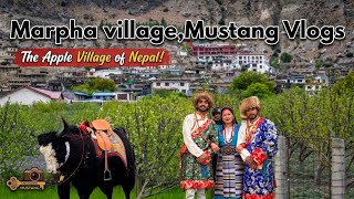 Marpha village,Mustang || मार्फा भिलेज,मुस्ताङ ||