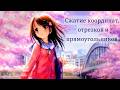 Сжатие координат, отрезков и прямоугольников. Лекция