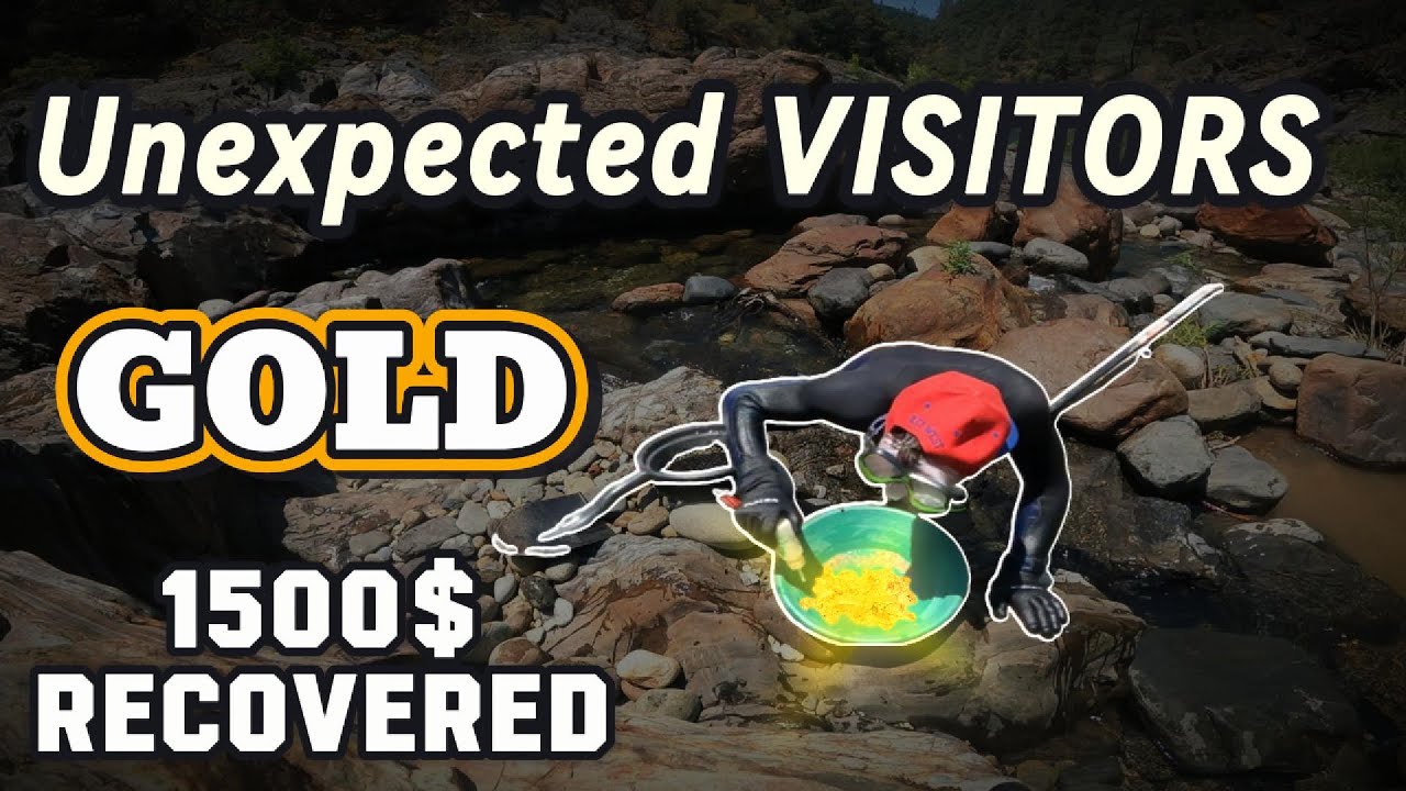 Digging California Gold : SNAKE & the DIG hole Plays out or did it? Mining & Prospecting NORCAL