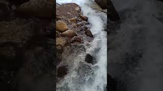 Eski Türkü Müziklerinden Taş Plak