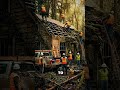 Abandoned Forest House Restoration | Amazing Transformation to Modern Cabin#shorts