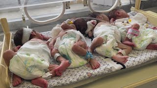 وصول 31 من الأطفال الخدّج من مستشفى الشفاء بغزة لمستشفى الهلال الإماراتي برفح تمهيداً لنقلهم إلى مصر