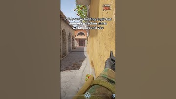 Should Valve remove chickens from #CS2? #cs2clips #csgo #counterstrike #memes #cs2memes #cs2clips