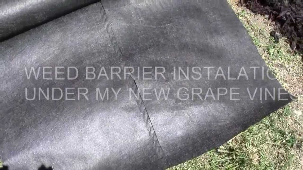 WEED BARRIER FABRIC-HOW TO INSTALL 6-17-12 - YouTube - WEED BARRIER FABRIC-HOW TO INSTALL 6-17-12 - YouTube