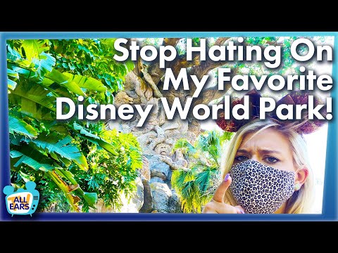 Video: Das Verteilen Von Asche In Disney World Ist Verboten, Aber Sehr Verbreitet