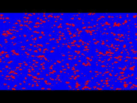 Pulsing Colors | Processing Art #30