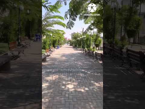 المنشد محمود الشرقاوي لما بدي في الأفق نور محمد للشيخ النقشبندي