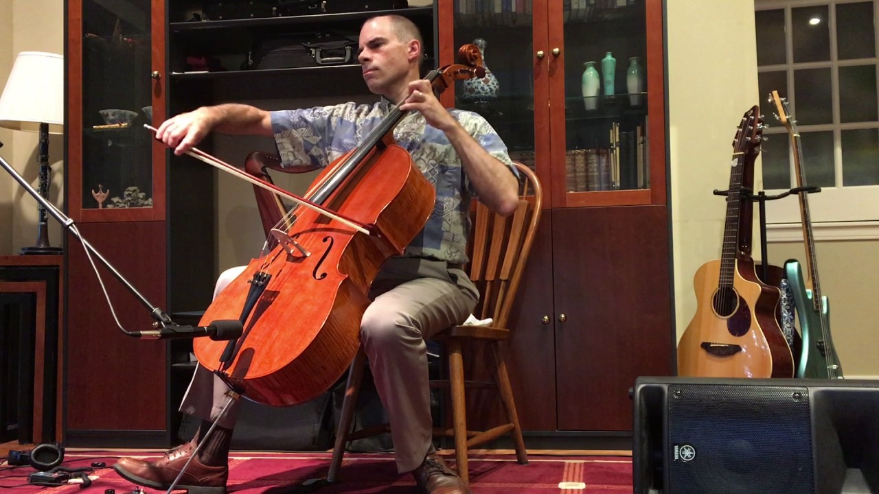 All 4 Parts of Pachelbel Canon Played LIVE on One Cello - Synergismus