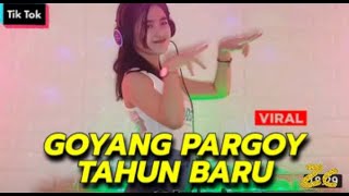 Dj Pargoy Tahun baru 2022 || Dj Revrin Julya