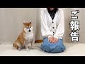 【苦渋の決断】 離れて暮らすことになりました