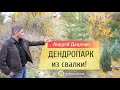 Дендропарк из свалки!