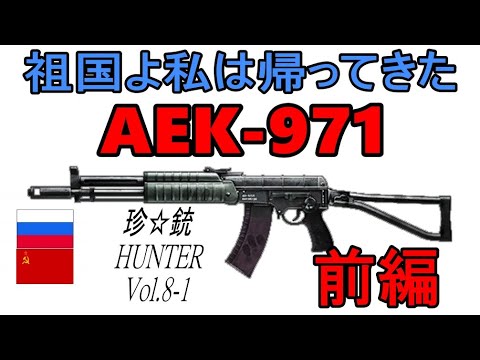 珍銃ハンターVol. 8-1 AEK 971