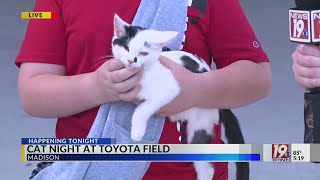 Meteorologist Jessica Camuto Introduces Us to Feline Friend at Trash Pandas Game | May 6, 2024 | New