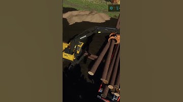 Silverrun forest loading logs with the Volvo 250 fs22 # shorts