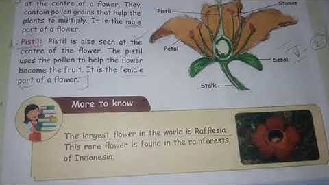 4th SCIENCE TERM-2 Unit 3-3 (EM)