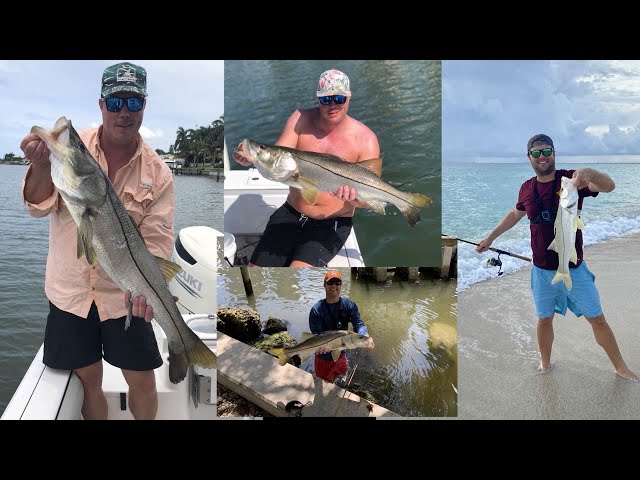 Fishcasting Podcast Episode 8: Fall Snook Fishing Special: Tips