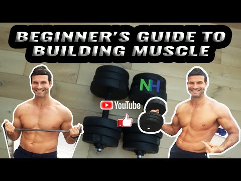 a-beginner-s-guide-to-building