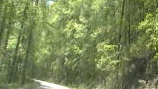 Swamp woman finding Anna Ruby Ruby Falls ASMR Waterfall 'Sounds of Nature' Net Worth