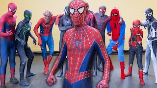 Spider-Man Adventures! screenshot 5