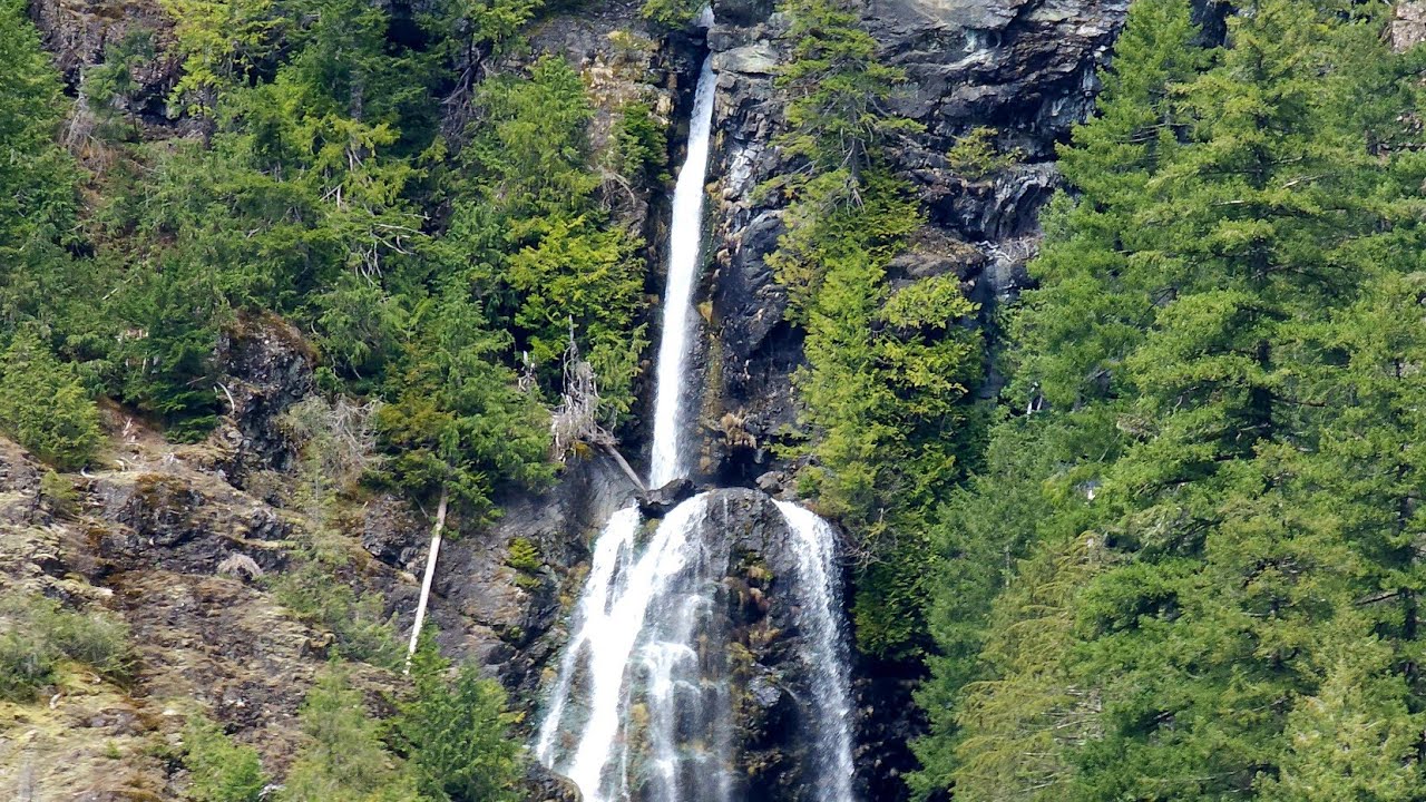 🌧️ A Foggy Day on the Perry Creek Trail