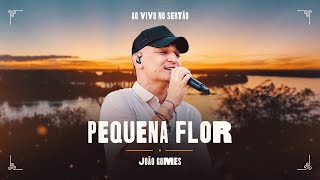 PEQUENA FLOR - João Gomes (Ao Vivo no Sertão)