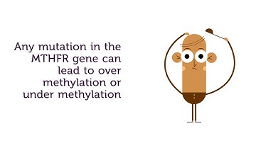 Use Your DNA Raw Data To Understand Your Methylation Pathway