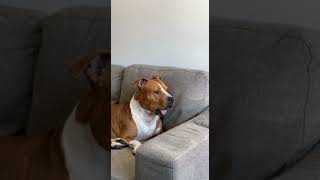 These Girls Aint No Good For Me