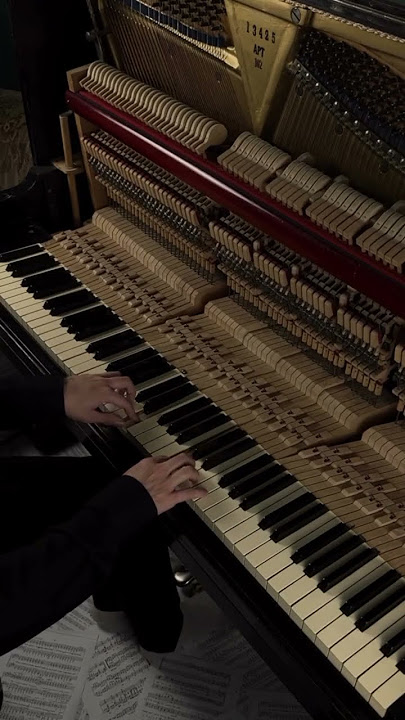 Rauf &Faik Vechera | Piano #piano #music #pianocover #rauffaik