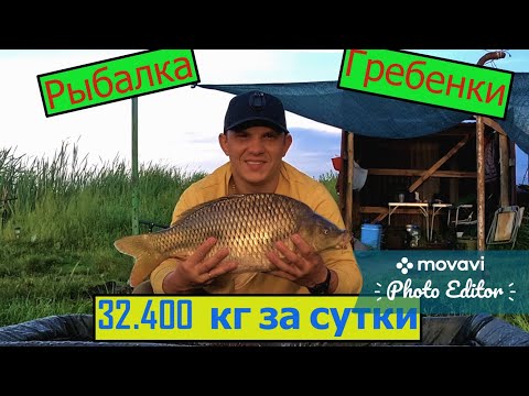 Рыбалка В Селе Гребенки Киевской Области