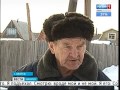 Потерявшуюся три месяца назад собаку нашли в Братске