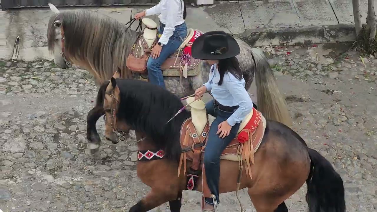 CABALGATA FEMENIL 25 ENERO 2026 