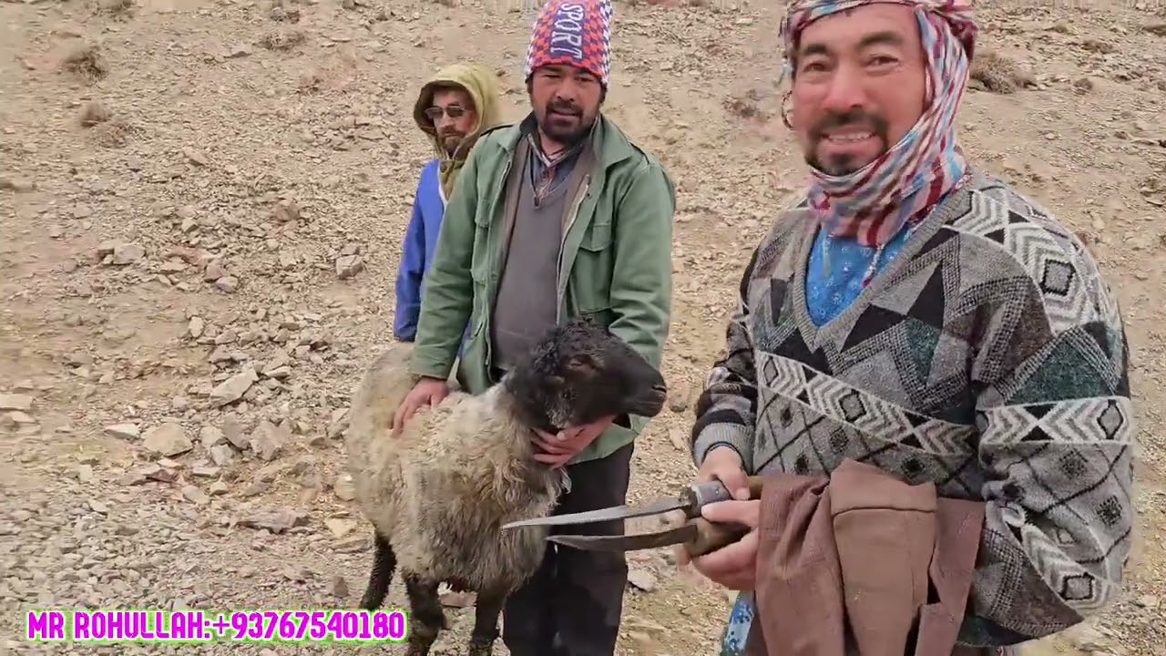 گشتن قدید یا لاند