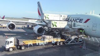 New York JFK Airport. Terminal View and Air Side Plane Spotting screenshot 2