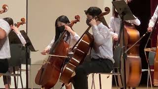 Try Everything from Zootopia (Orchestra)